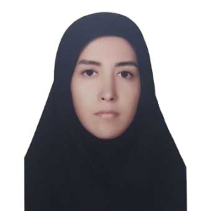 زیبا حکمت - موسسه ایران اروپا
