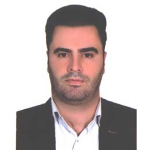 وحید کرد - موسسه ایران اروپا