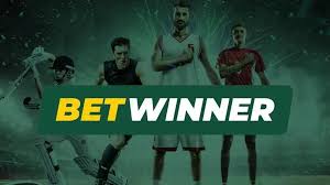 Step-by-Step Guide on How to Register on BetWinner 1454664266 Step-by-Step Guide on How to Register on BetWinner 1454664266