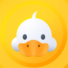 Understanding Cryptocurrency Gambling on DuckDice